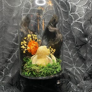 Glass dome &quot;Monster Pig&quot;