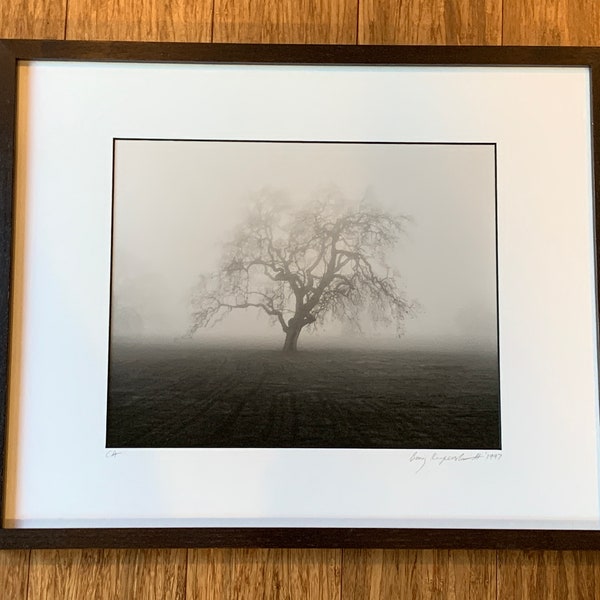 Framed, Signed 'Tree in Mist' Photograph by Boris Kupershmidt, 16x13