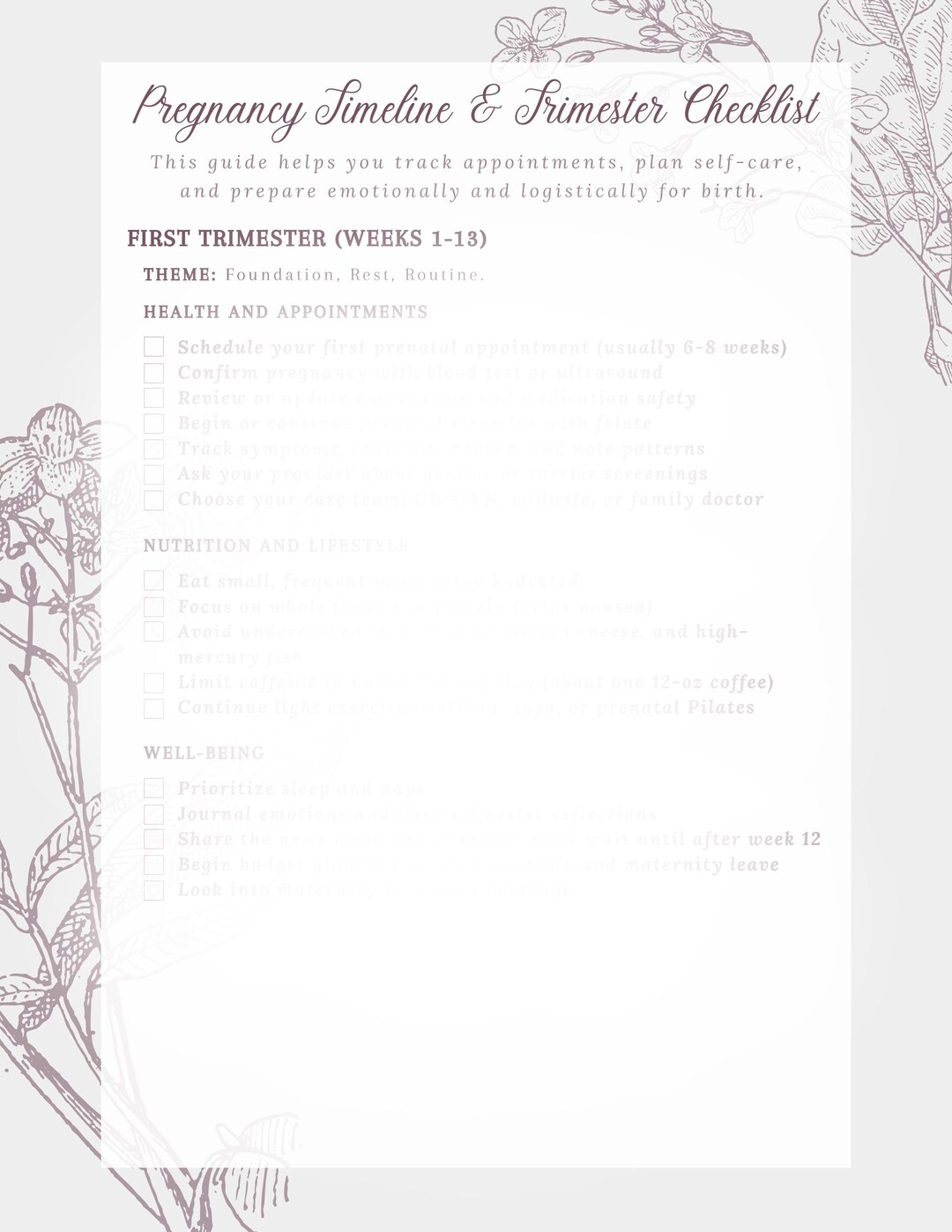 Pregnancy Timeline and Trimester Checklist - Setting up for Success - Etsy