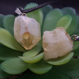 May include: Two yellow citrine crystal pendants on a black cord. The crystals are raw and have a natural, irregular shape. The pendants are hanging from a green succulent plant.