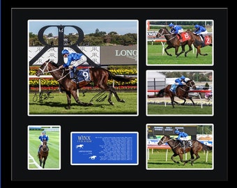 Winx 17 in a Raw Horse Racing Memorabilia Limited Edition Comes with Black Frame and Certificate of Limitation