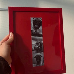 May include: A red picture frame holding a strip of four black and white photos. The photos feature images of pugs. The frame is rectangular and held by a person.