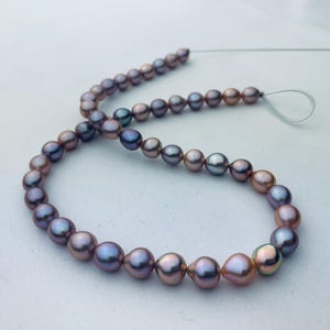 7-8mm Natural Metallic Rainbow Freshwater Pearl Strand,Metallic Purple Freshwater Pearl Strand With Mixed Color,Rainbow Loose Pearl Strand.