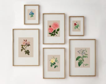 Vintage Flower Prints,Printable Minimalist Botanical Art,Botanical Print Set of 6,Botanical Gallery Print,Floral Wall Art Printable,Flowers
