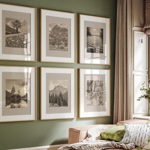May include: Six framed sepia-toned landscape prints with gold frames hang on a green wall. The prints depict various natural scenes, including trees, mountains, and bodies of water. The arrangement creates a cohesive gallery wall aesthetic, enhancing the room's decor.