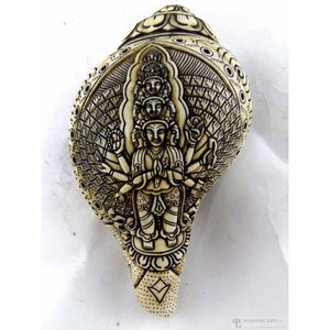 7 inch, !000 Arms Avalokiteshvara hand Carved, Conch Shell