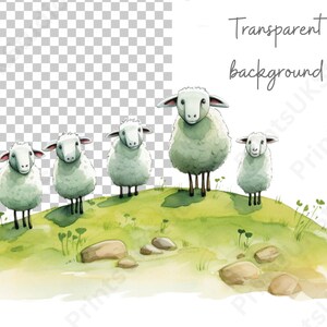 Clipart Sheep, 12 Watercolour Images of Cartoon Sheep and Spring Lambs Digital PNG with a Transparent Background, Commercial Use.