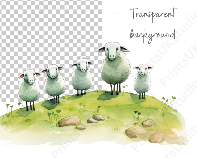 Clipart Sheep, 12 Watercolour Images of Cartoon Sheep and Spring Lambs Digital PNG with a Transparent Background, Commercial Use.