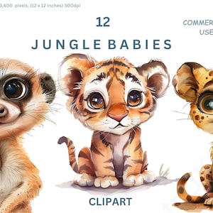 Clipart bébés jungle, 12 bébés animaux de safari, Images PNG de haute qualité sur fond Transparent, licence commerciale, clipart impression chambre d'enfant