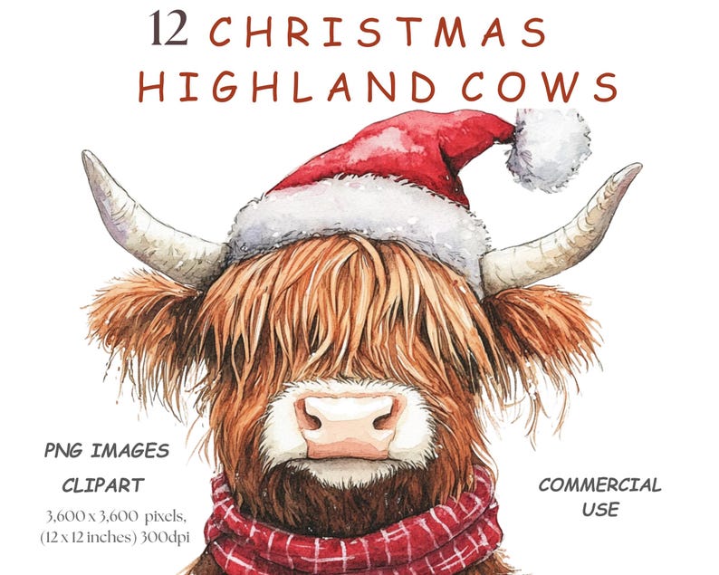 Christmas Highland Cow Clipart, 12 PNG Watercolour Images of Cartoon ...