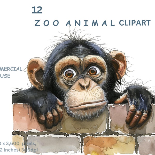 Zoo Animal Clipart, 12 PNG Watercolour Images of Cartoon Jungle Animals, Tiger, Lion, Zebra, Monkey, Transparent Background, Commercial Use.