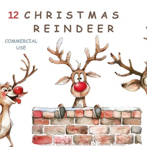 Images clipart rennes de Noël sur fond transparent, utilisation commerciale, fabrication de cartes, sublimation, création de journaux indésirables, livraison directe de tirages