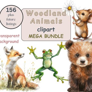 Bundle de cliparts animaux de la forêt, fond Transparent PNG, fabrication de cartes, sublimation, courrier indésirable, usage Commercial