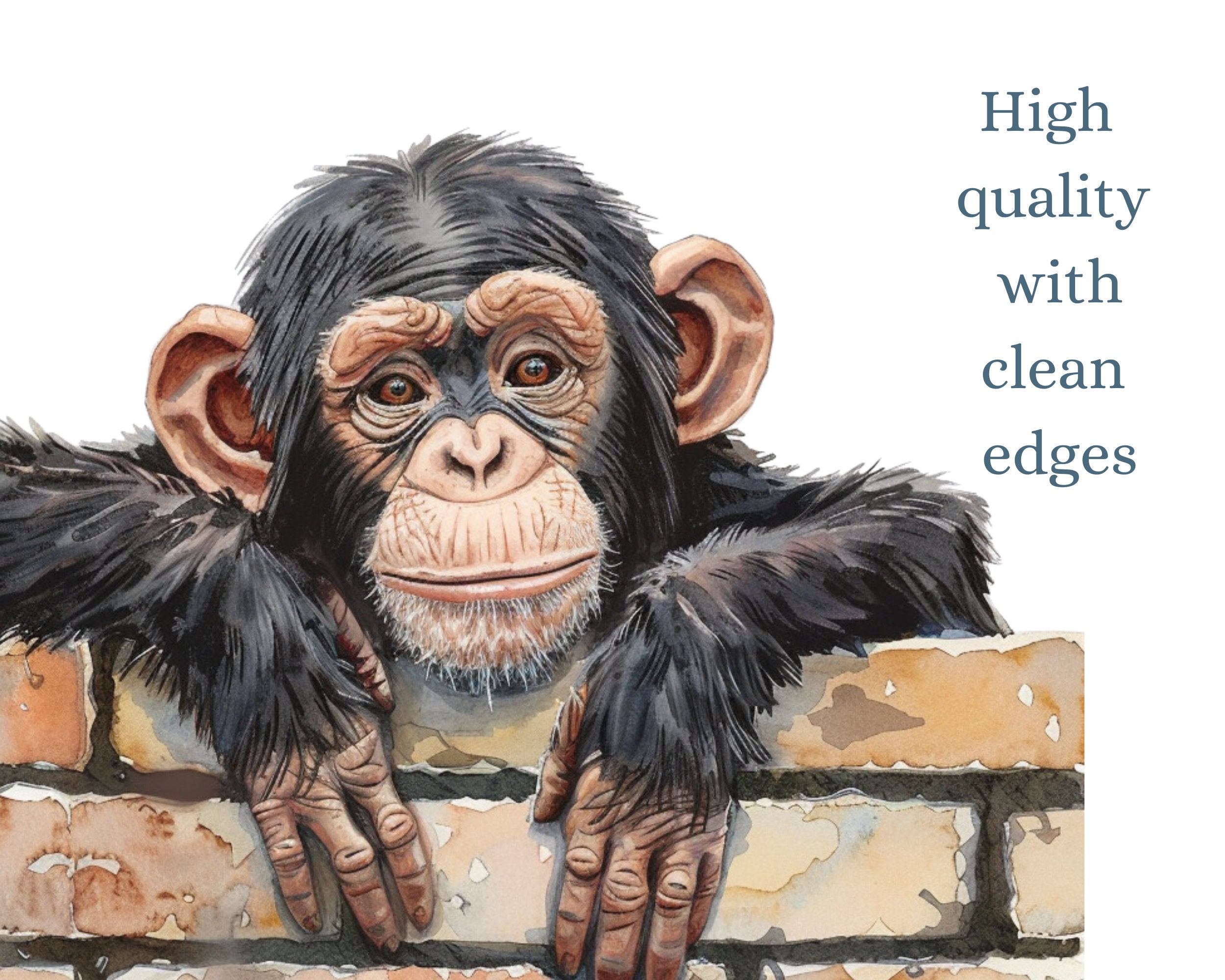 Chimpanzee Clipart, Cartoon Monkey Clipart Images, Zoo Animal Chimp ...
