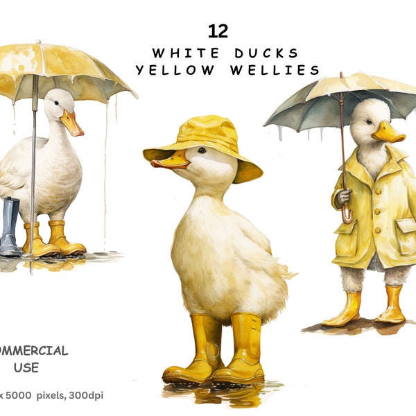 White Duck Clipart, 12 High Quality PNG Transparent Background Images of White Ducks wearing Yellow Wellies, Commercial Use.