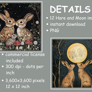 Moon Gazing Hare Clipart, 12 Pagan Folk Art PNG Images, Celestial Boho ...
