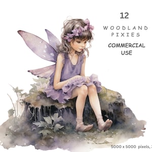 以下が含まれることがあります： 苔むした岩の上に座っている、紫色の羽根を持つ妖精の水彩画。妖精は花冠をかぶり、紫色のドレスを着ています。画像は「12 Woodland Pixies Commercial Use 5000 x 5000 pixels, 300dpi」とラベル付けされています。