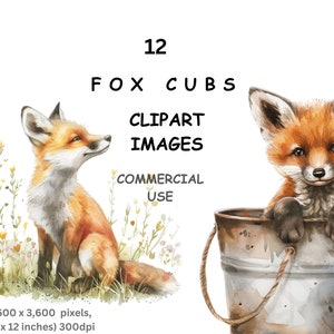 Clipart Renardeaux, 12 images PNG à l'aquarelle de petits renardeaux de dessins animés, arrière-plan Transparent, usage commercial.
