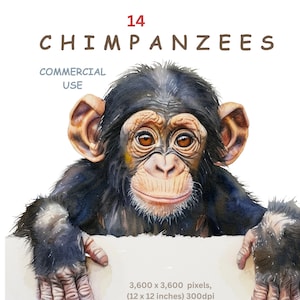 Schimpanse Clipart, Cartoon Affe Clipart-Bilder, Zoo-Tier Schimpanse, transparenter Hintergrund, kommerzielle Nutzung, Kartenherstellung Sublimation