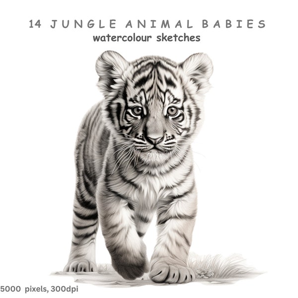 Jungle Animal Babies Clipart, 14 High Quality Transparent Background PNG Images, Black and White Pencil Sketches, Free Commercial Licence.