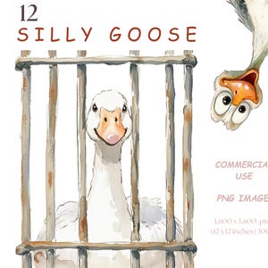 14 Silly Goose clipart, eigenzinnige dierenafbeeldingen, cartoon ganzen, kaart maken sublimatie ontwerp T.shirt png transparante achtergrond commercieel