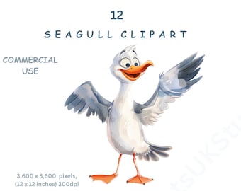 Möwe Clipart, 12 Aquarell Bilder von Cartoon Möwen, Seevögel, digitaler PNG transparenter Hintergrund, kommerzielle Nutzung.