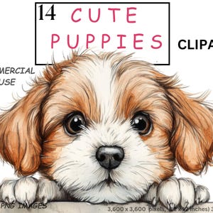 14 süße Welpen Clipart, schrulligen Tierbilder, lustige Cartoon Welpen Hunde, Kartenherstellung, Sublimationsdesigns, Bastelbedarf, kommerzielle Nutzung.