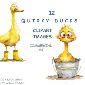 Clipart di anatre stravaganti, 12 immagini PNG ad acquerello di anatre gialle stravaganti, grafica di animali divertenti, sfondo trasparente, uso commerciale.