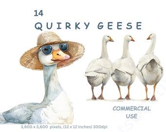 Quirky Geese Clipart, 14 PNG Watercolour Images of Whimsical Gander, Goose, Funny Animals Graphics, Transparent Background, Commercial Use.