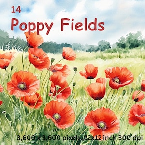 Clipart de campo de papoulas, 14 imagens de papoulas vermelhas selvagens, papel de parede para fazer cartões, diários de lixo, scrapbooking, download digital em PNG, uso comercial.