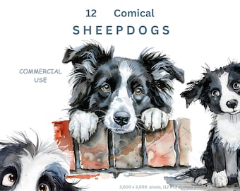 Border Collie Clipart, 12 Whimsical Sheep Dog Images (Digital Download)