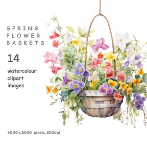 Cesti di fiori primaverili, 16 clipart di alta qualità sfondo trasparente PNG immagini ad acquerello, download digitali, uso commerciale.