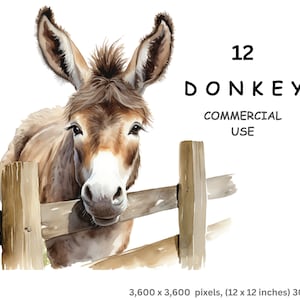 Imágenes prediseñadas de burro, 12 imágenes de acuarela de burros de dibujos animados, PNG digital con fondo transparente, uso comercial.