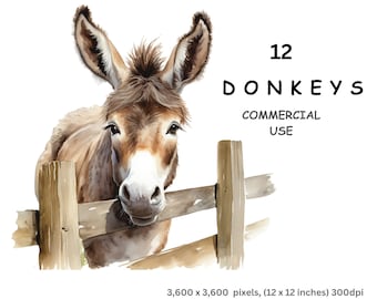 Donkey Clipart, 12 Watercolour Images of Cartoon Donkeys, Digital PNG with a Transparent Background, Commercial Use.