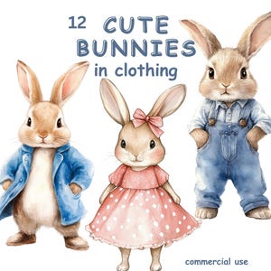 Coelhinhos fofos em roupas, 12 imagens de clipart em aquarela de coelhos de desenho animado, fundo transparente para fazer cartões, impressão sob demanda