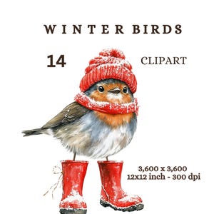Imágenes prediseñadas, pájaros de jardín británicos, imágenes PNG de petirrojo navideño, fondo transparente, imágenes prediseñadas de amante de la naturaleza para hacer tarjetas, proyectos de manualidades