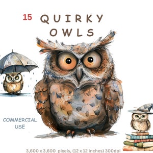 Peculiar búho clipart dibujos animados búho imágenes imágenes prediseñadas imágenes de aves, sublimación de bichos del bosque, uso comercial tarjeta artesanal haciendo diario basura