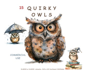 Quirky Owl Clipart Cartoon Owl Images Clipart Bird Images, Woodland Critter Sublimation, Commercial Use Craft Card Making Junk Journal