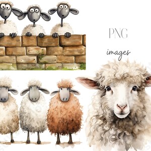 Clipart Sheep, 12 Watercolour Images of Cartoon Sheep and Spring Lambs Digital PNG with a Transparent Background, Commercial Use.