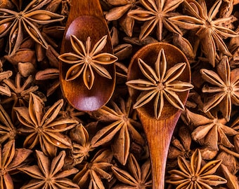 May include: Two wooden spoons filled with star anise, surrounded by a bed of brown star anise pods.