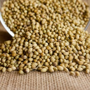 Coriander Seeds Whole