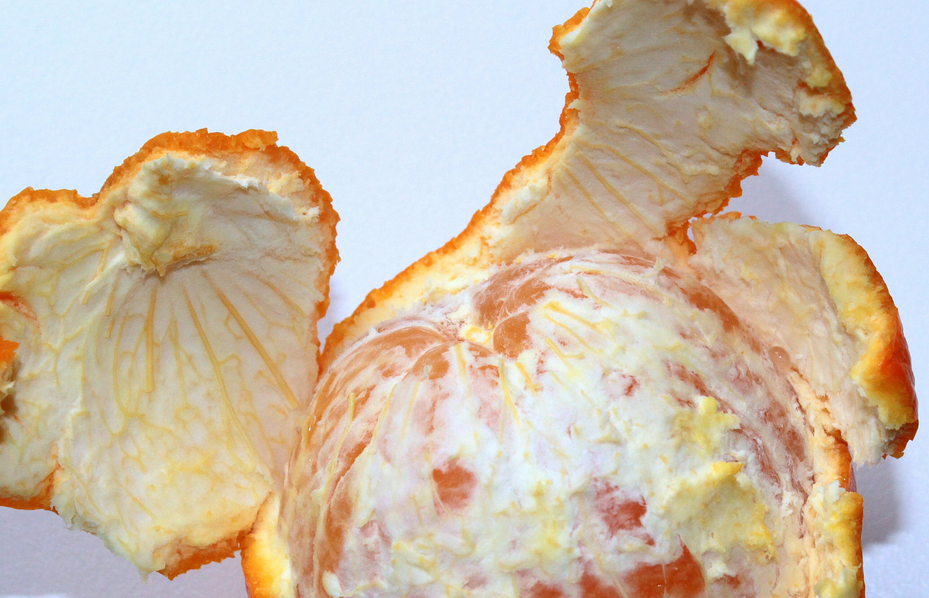 Sweer Orange Rind Sweet Orange Peel, Small Pieces (spain) - Etsy