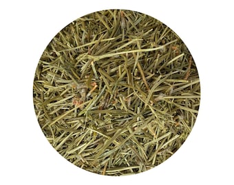 Agujas de pino orgánicas/té de agujas de pino/agujas de pino secas