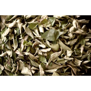 Dried Curry Leaves