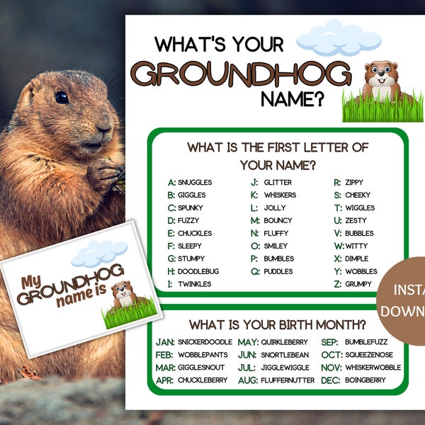 Groundhog Day Name Game Printable, What's Your Groundhog Name Game, Name Generator Game with Name Tags, Groundhog Activities, Games for Kids