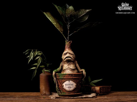 Mandrake Figure - Etsy