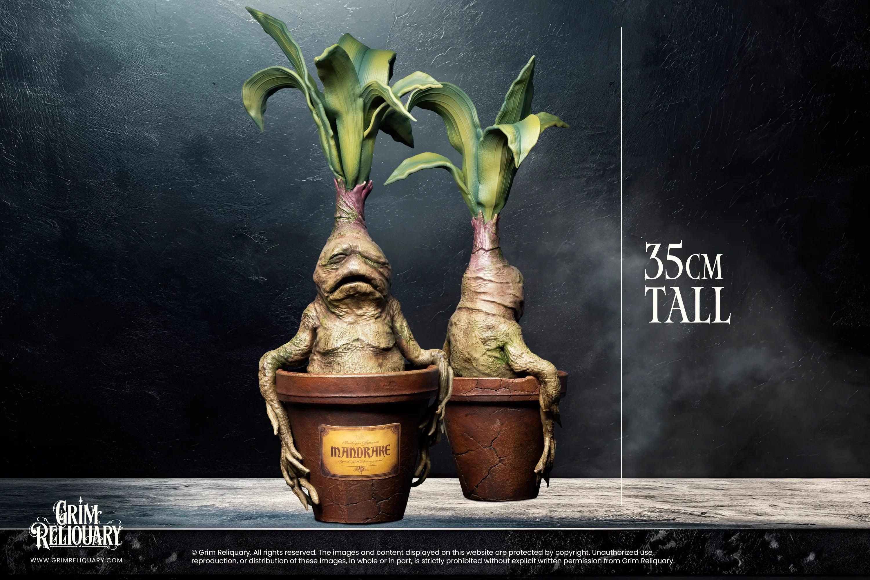Mandrake Replica - Etsy