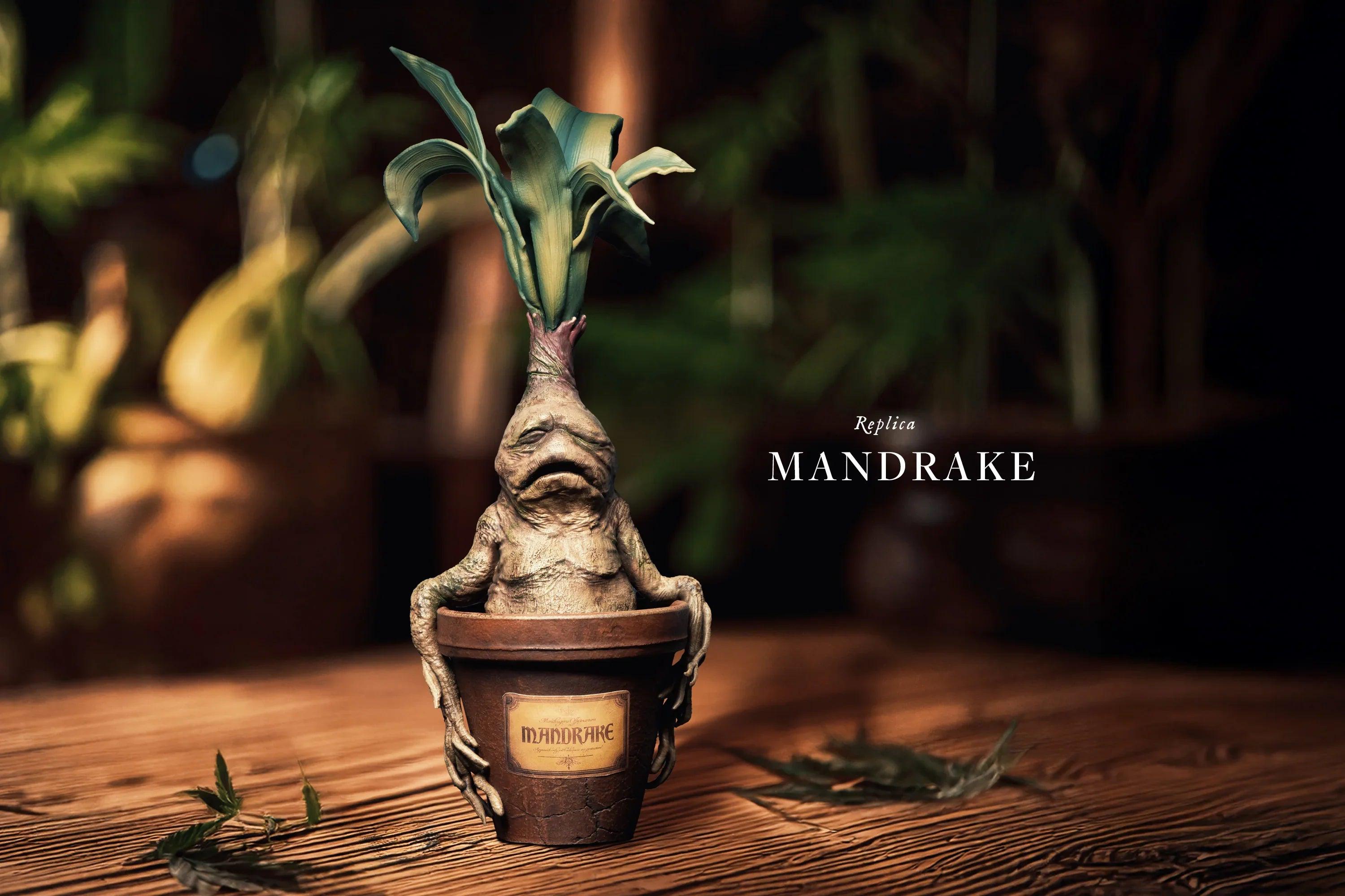 Handmade Mandrake Replica, Harry Potter Inspired Herbology Decor