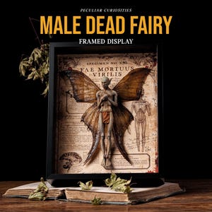 May include: A framed display featuring a sculpture of a male fairy with large, detailed wings. The artwork is set against a backdrop of aged paper with anatomical illustrations and Latin text. The words "MALE DEAD FAIRY" are displayed above the frame.