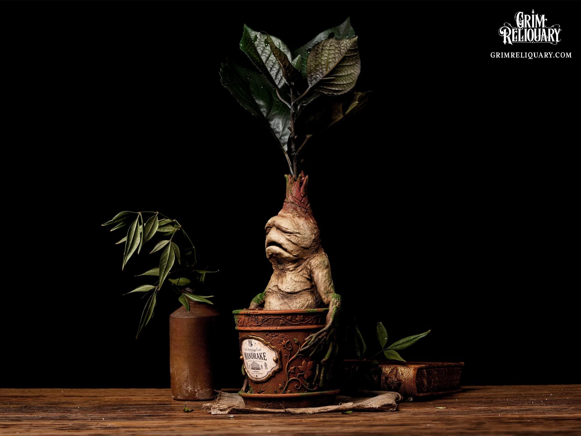 Mandrake Figure - Etsy